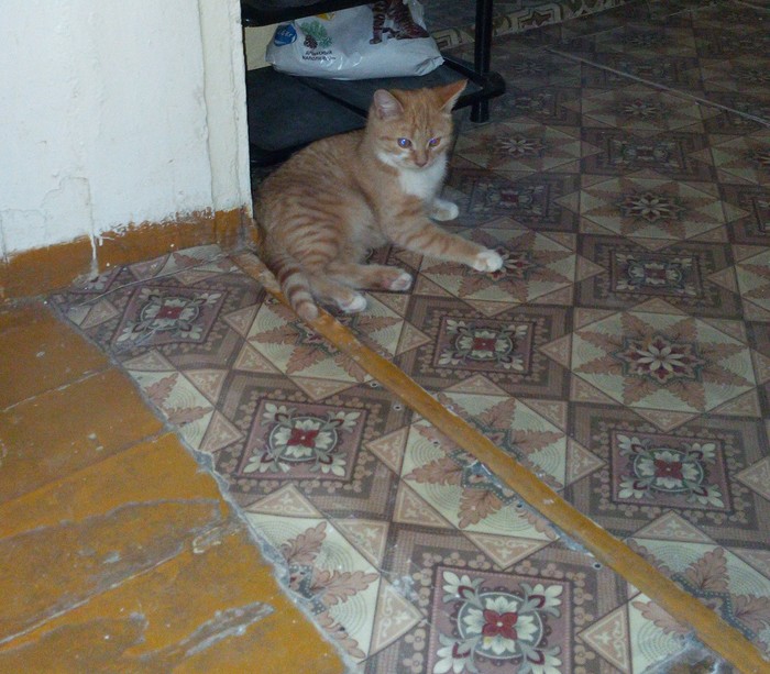 ������ �� ���������