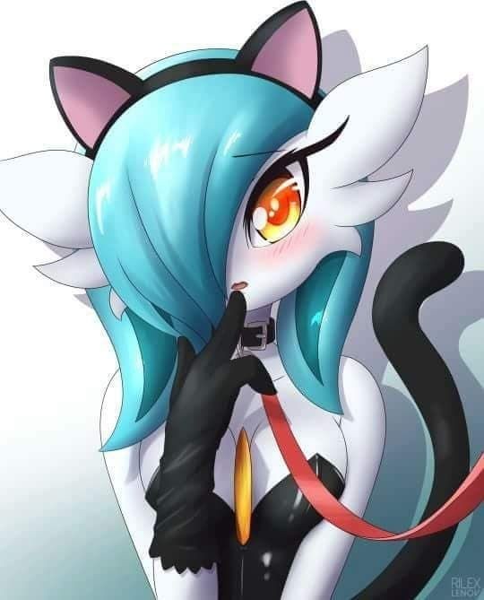 Meow? - Pokemon, Gardevoir