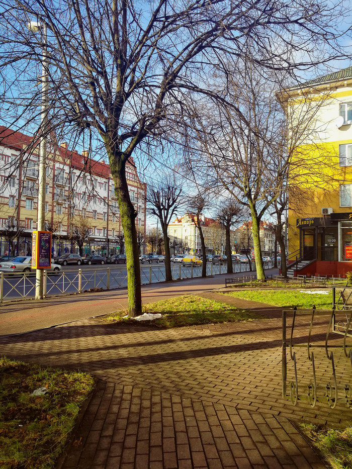 New Year's Eve Spring - December, Kaliningrad, Climate, My, Winter, Longpost, 