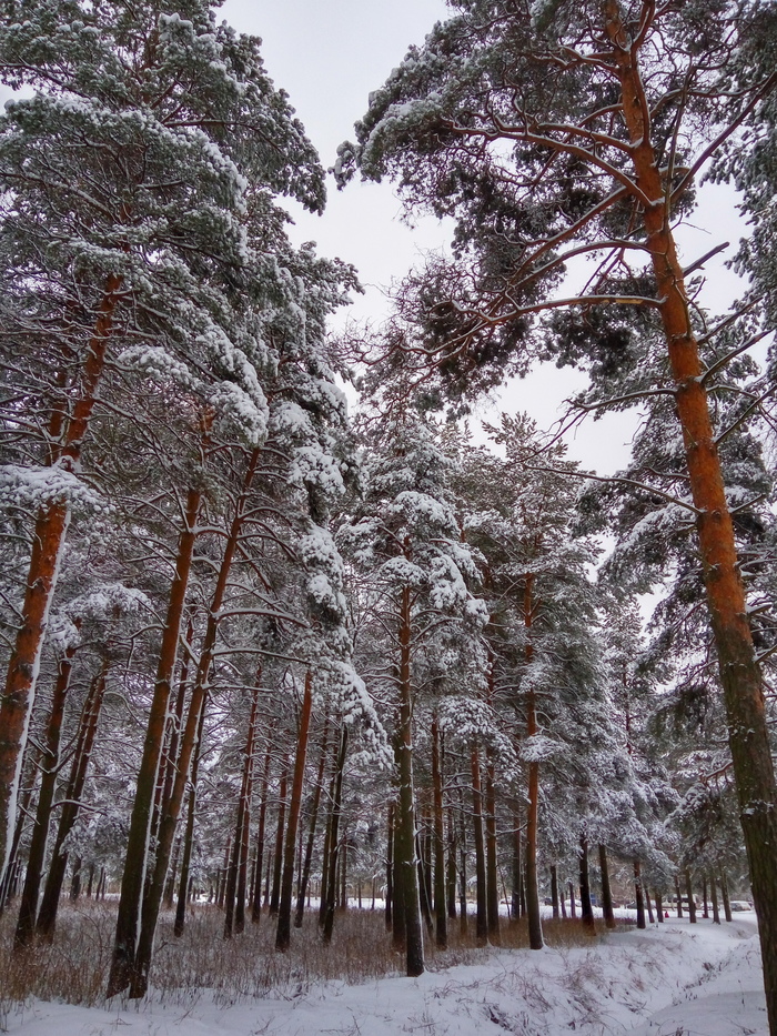 ������������ ���� ���