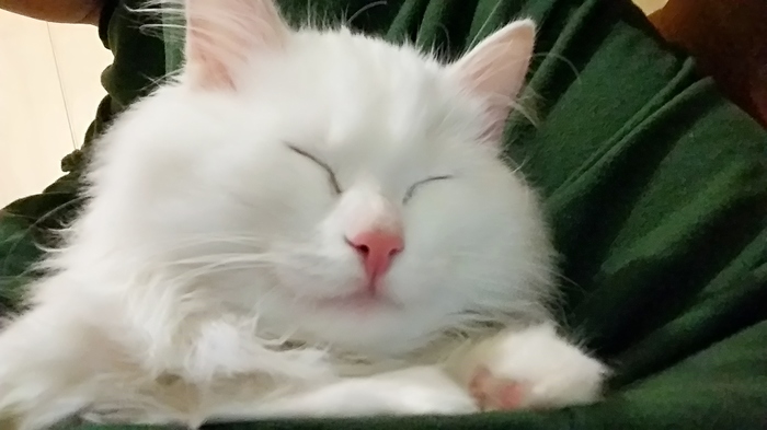 ��� �� ���� ���, �� ����