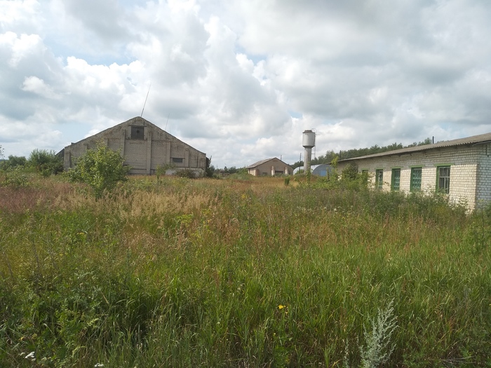 Поездка летом в деревню, по местам былого детства Деревня, Заброшенное, Воспоминания, Длиннопост