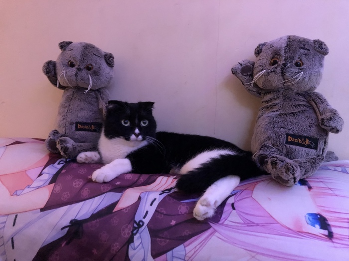 �������� �������� �� ����� ������