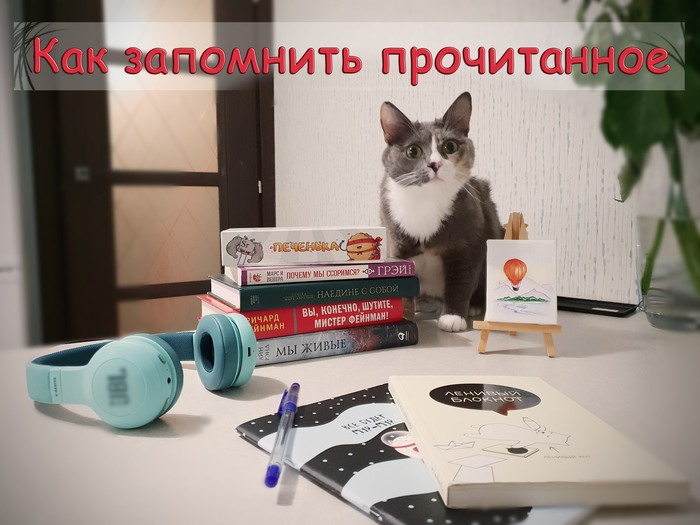 I increase the efficiency of my reading - My, Catomafia, Reading, Books, Memory, , cat