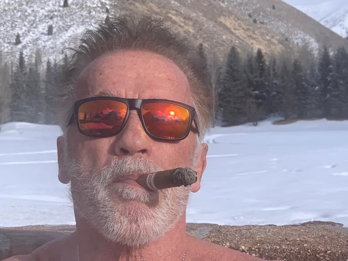 Brutal Arnie on vacation. - Arnold Schwarzenegger, Dog, Ice hole, Relaxation, The photo, Celebrities
