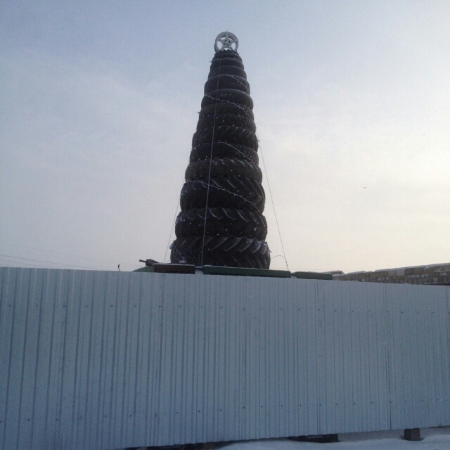 Fir tree on autodismantling - Christmas tree, New Year, Holidays