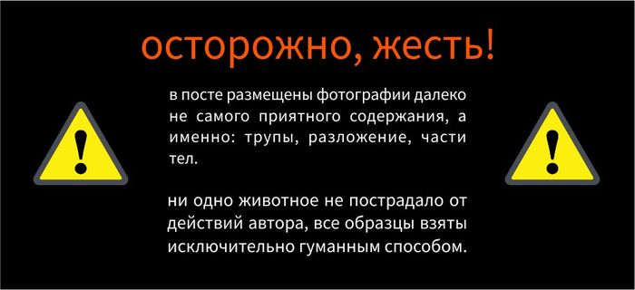 рыба тоже любит пепси колу. Смотреть фото рыба тоже любит пепси колу. Смотреть картинку рыба тоже любит пепси колу. Картинка про рыба тоже любит пепси колу. Фото рыба тоже любит пепси колу рыба тоже любит пепси колу. Смотреть фото рыба тоже любит пепси колу. Смотреть картинку рыба тоже любит пепси колу. Картинка про рыба тоже любит пепси колу. Фото рыба тоже любит пепси колу