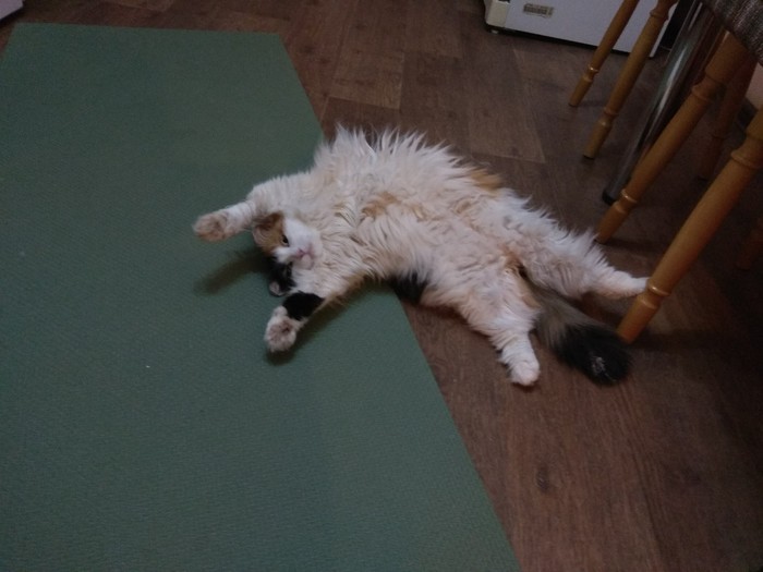 рыба тоже любит пепси колу. Смотреть фото рыба тоже любит пепси колу. Смотреть картинку рыба тоже любит пепси колу. Картинка про рыба тоже любит пепси колу. Фото рыба тоже любит пепси колу рыба тоже любит пепси колу. Смотреть фото рыба тоже любит пепси колу. Смотреть картинку рыба тоже любит пепси колу. Картинка про рыба тоже любит пепси колу. Фото рыба тоже любит пепси колу