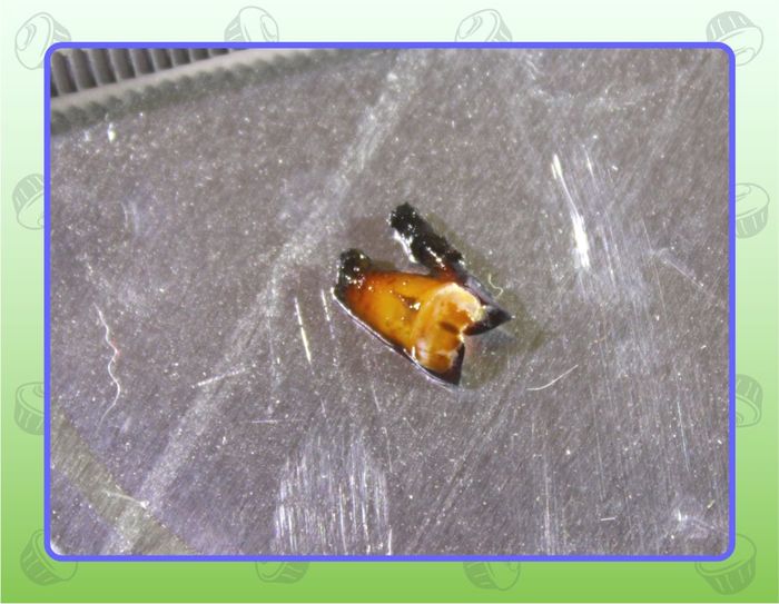 рыба тоже любит пепси колу. Смотреть фото рыба тоже любит пепси колу. Смотреть картинку рыба тоже любит пепси колу. Картинка про рыба тоже любит пепси колу. Фото рыба тоже любит пепси колу рыба тоже любит пепси колу. Смотреть фото рыба тоже любит пепси колу. Смотреть картинку рыба тоже любит пепси колу. Картинка про рыба тоже любит пепси колу. Фото рыба тоже любит пепси колу