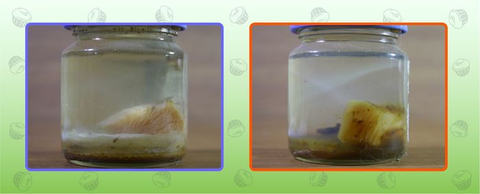 рыба тоже любит пепси колу. Смотреть фото рыба тоже любит пепси колу. Смотреть картинку рыба тоже любит пепси колу. Картинка про рыба тоже любит пепси колу. Фото рыба тоже любит пепси колу рыба тоже любит пепси колу. Смотреть фото рыба тоже любит пепси колу. Смотреть картинку рыба тоже любит пепси колу. Картинка про рыба тоже любит пепси колу. Фото рыба тоже любит пепси колу