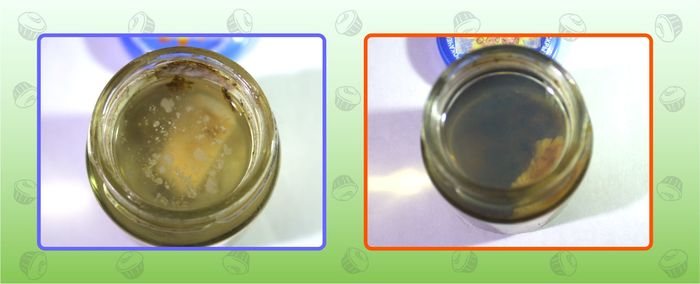 рыба тоже любит пепси колу. Смотреть фото рыба тоже любит пепси колу. Смотреть картинку рыба тоже любит пепси колу. Картинка про рыба тоже любит пепси колу. Фото рыба тоже любит пепси колу рыба тоже любит пепси колу. Смотреть фото рыба тоже любит пепси колу. Смотреть картинку рыба тоже любит пепси колу. Картинка про рыба тоже любит пепси колу. Фото рыба тоже любит пепси колу