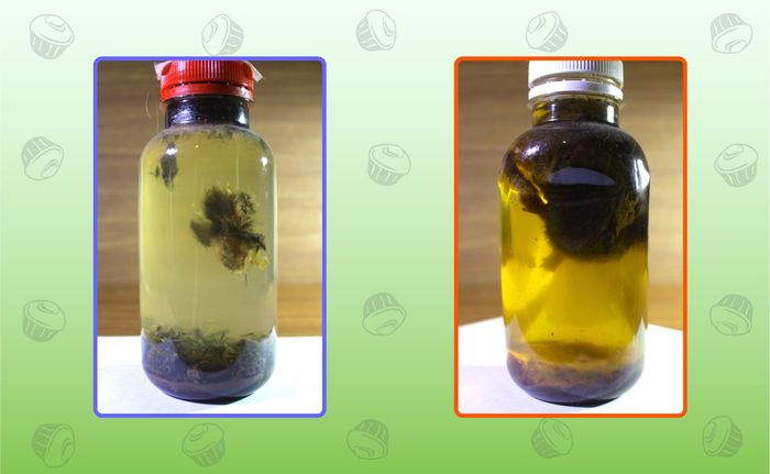 рыба тоже любит пепси колу. Смотреть фото рыба тоже любит пепси колу. Смотреть картинку рыба тоже любит пепси колу. Картинка про рыба тоже любит пепси колу. Фото рыба тоже любит пепси колу рыба тоже любит пепси колу. Смотреть фото рыба тоже любит пепси колу. Смотреть картинку рыба тоже любит пепси колу. Картинка про рыба тоже любит пепси колу. Фото рыба тоже любит пепси колу