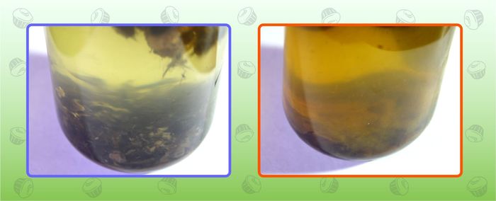 рыба тоже любит пепси колу. Смотреть фото рыба тоже любит пепси колу. Смотреть картинку рыба тоже любит пепси колу. Картинка про рыба тоже любит пепси колу. Фото рыба тоже любит пепси колу рыба тоже любит пепси колу. Смотреть фото рыба тоже любит пепси колу. Смотреть картинку рыба тоже любит пепси колу. Картинка про рыба тоже любит пепси колу. Фото рыба тоже любит пепси колу