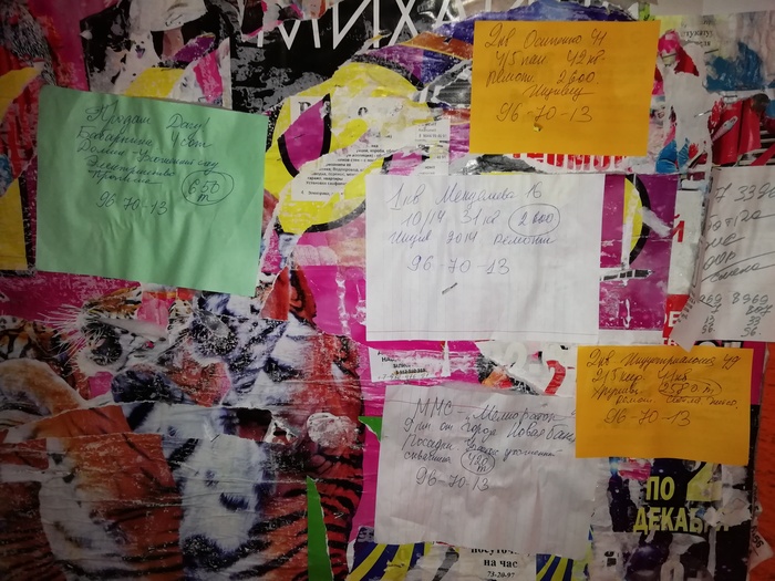 Риэлтор не палится | Пикабу