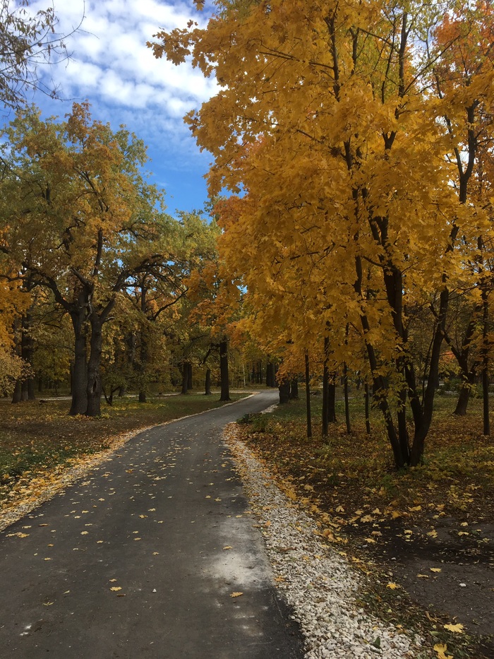 A little bygone autumn - My, Autumn, Samara, beauty