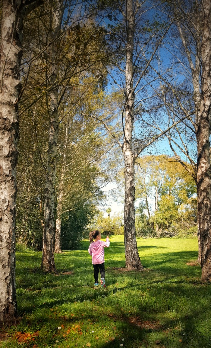 Guess the country from the photo. - My, The photo, White birch, Nature, Myths