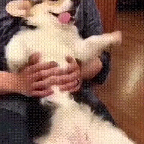 Жизнь удалась!:)