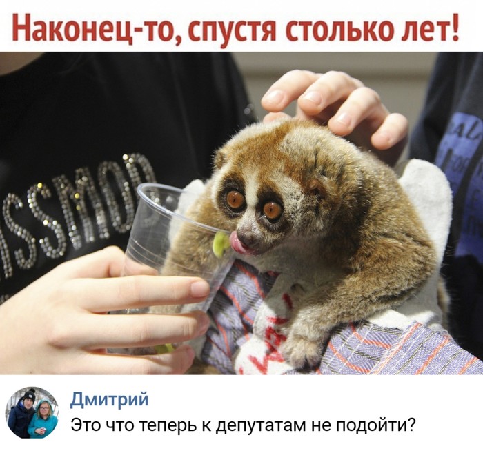 Putin signed a law banning petting zoos - Vladimir Putin, Zoo, Contact zoo, Law, Deputies, Humor, Comments, In contact with