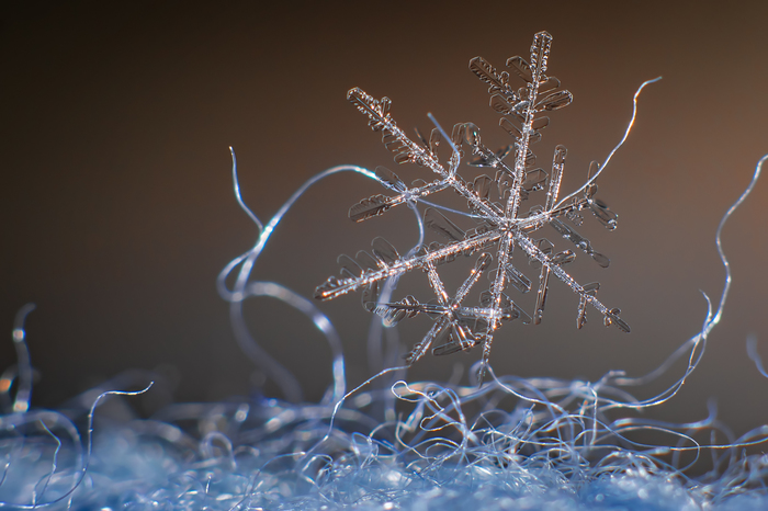Snowflake, like a piece of winter)) - My, Nikon d5300, Nikkor 50mm, Macro, Snowflake, Macro photography
