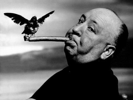 Film Birds. - My, Alfred Hitchcock, Birds, Horror, Horror, Filming, Photos from filming, Longpost