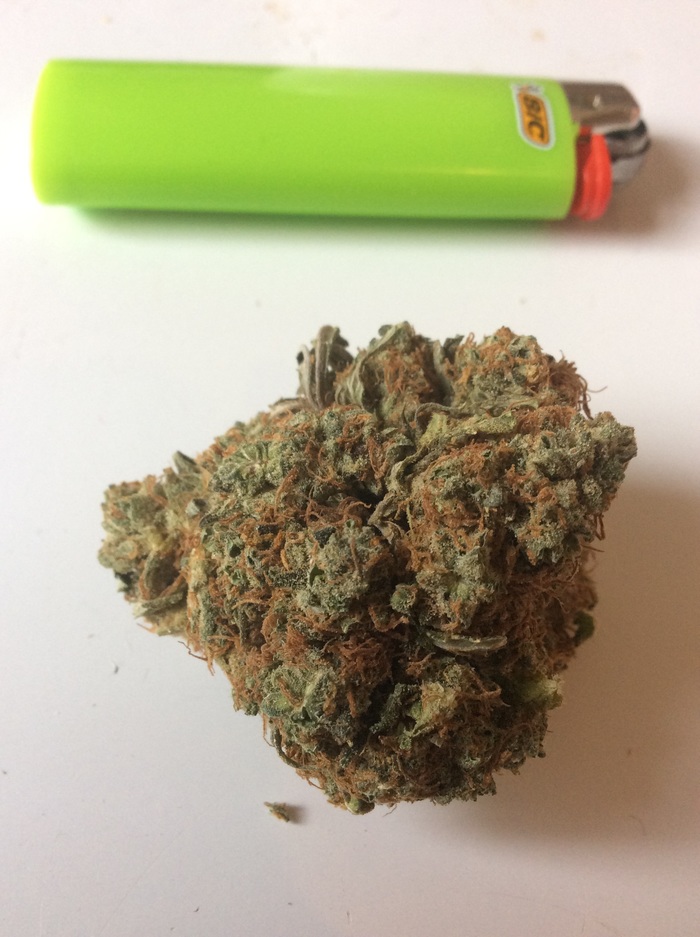 INDICA BC HYBRID - Моё, NSFW, Марихуана, Трава