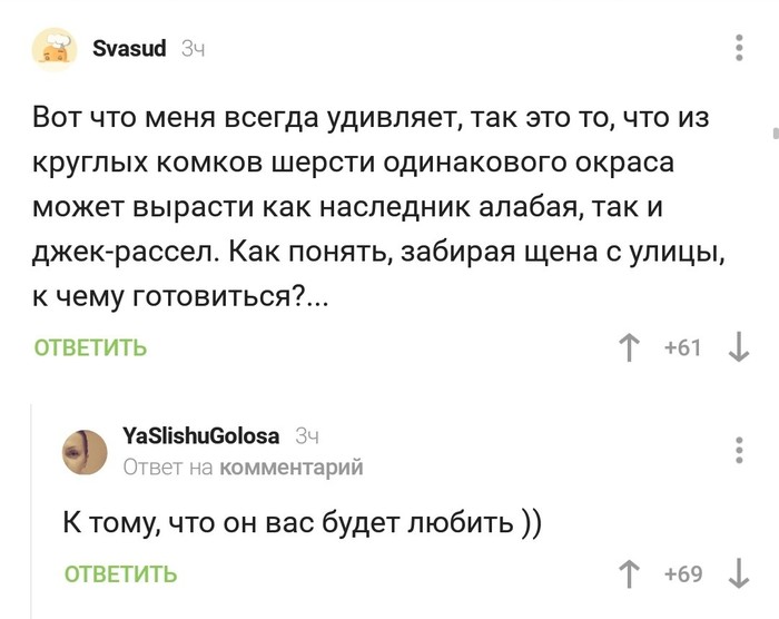 К чему готовиться - Милота, Комментарии на Пикабу, Скриншот, Собака, Щенки, Любовь