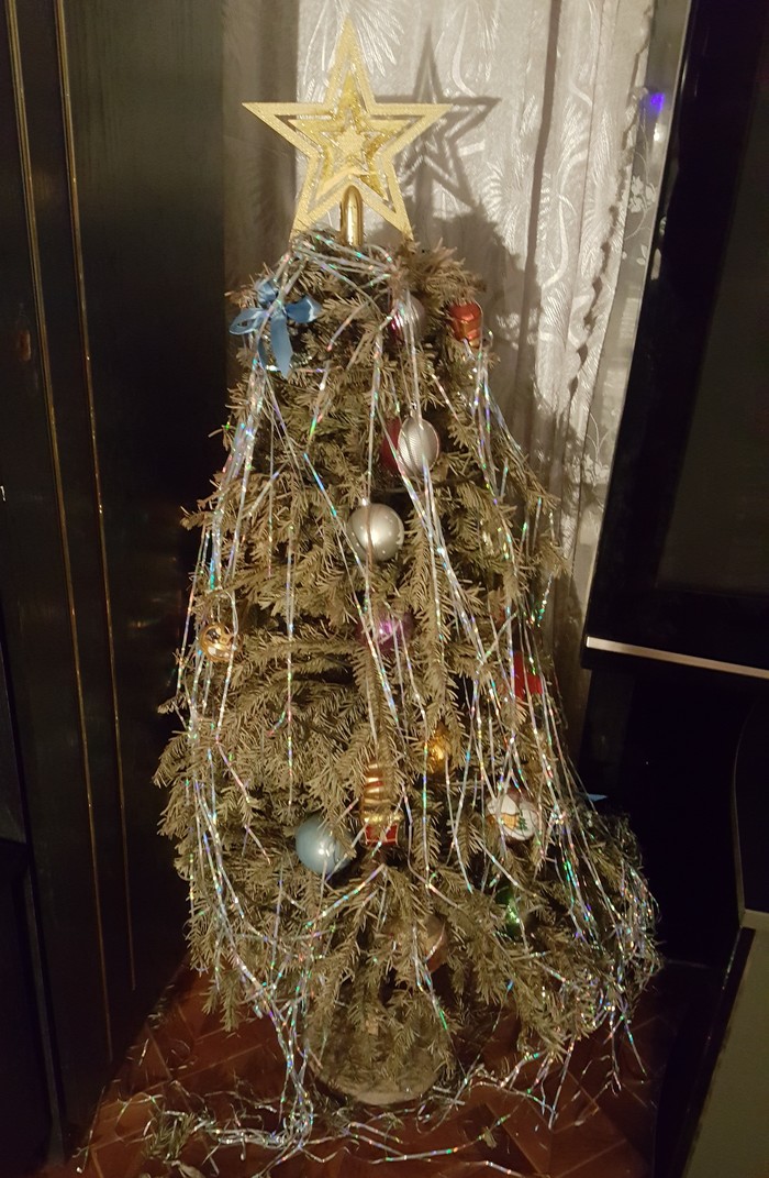 Сегодня моей ёлочке исполняется ровно один год )