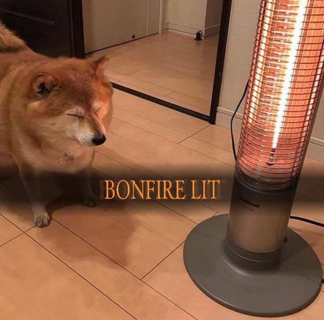 The fire is lit - Dog, Heater, Shiba Inu, Dark souls, Bonfire Lit, Heat, Cosiness