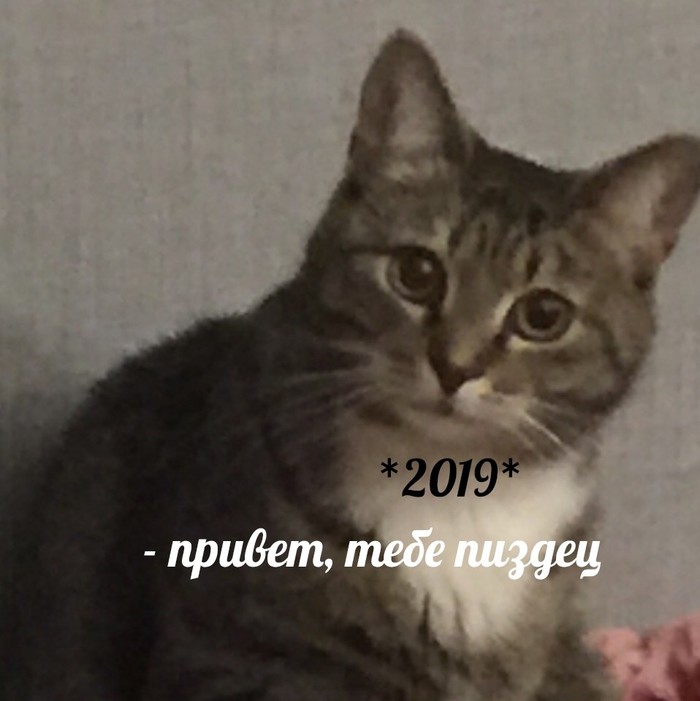    !  , 