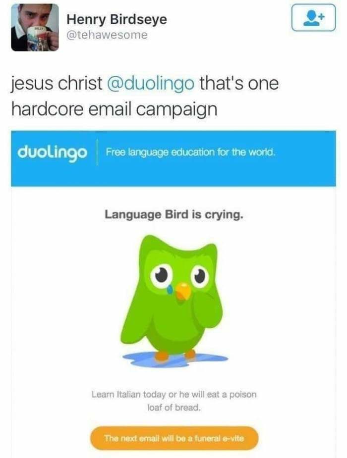    , Duolingo, 