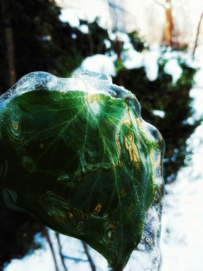 ����� ������ �����