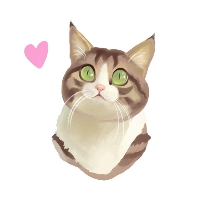 Rexy cat portrait - My, cat, Digital drawing, Longpost, Art, Catomafia, GIF, Animals, Animalistics, Drawing, Stages