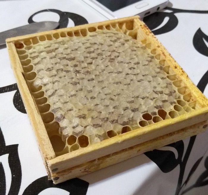 Honeycomb in the palm - My, Honey, Honeycomb, Miniature, Homemade, Naturally, Longpost