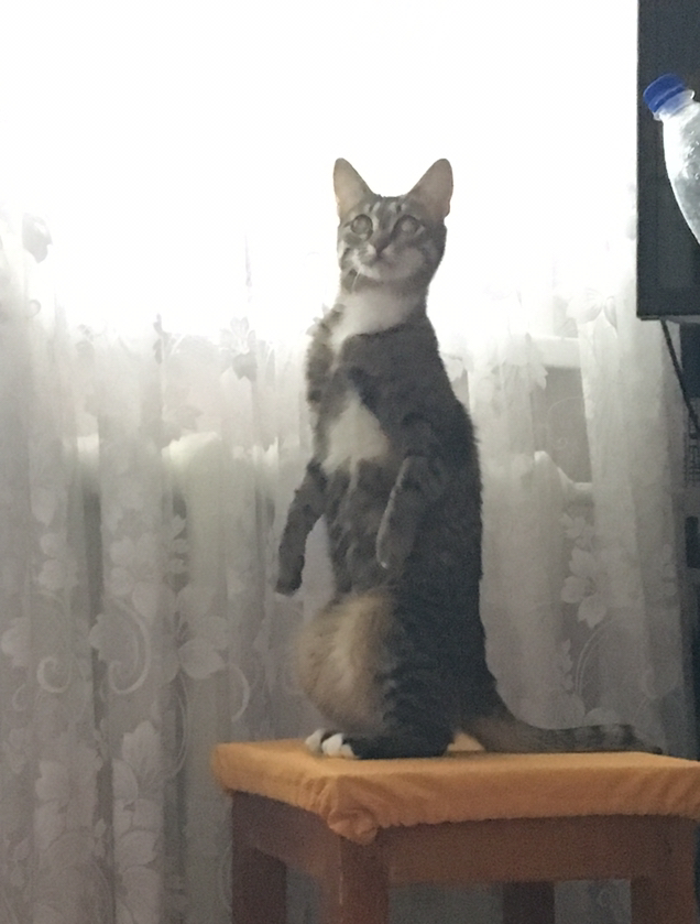 ��� ����� ������ ���� �������� ���������