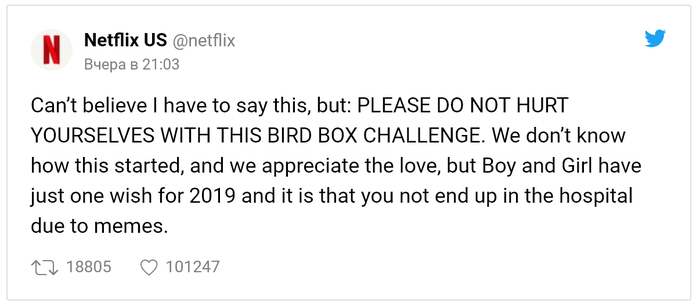 Fans of the horror Birdbox are blindfolded and do everything blindly. - Society, USA, Movies, bird box, Netflix, Challenge, Sandra Bullock, Tjournal, Video, Longpost
