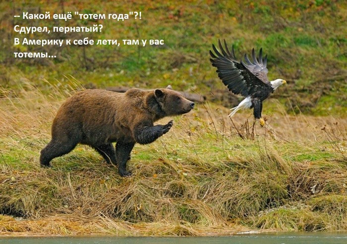 Про тотемный знак года.