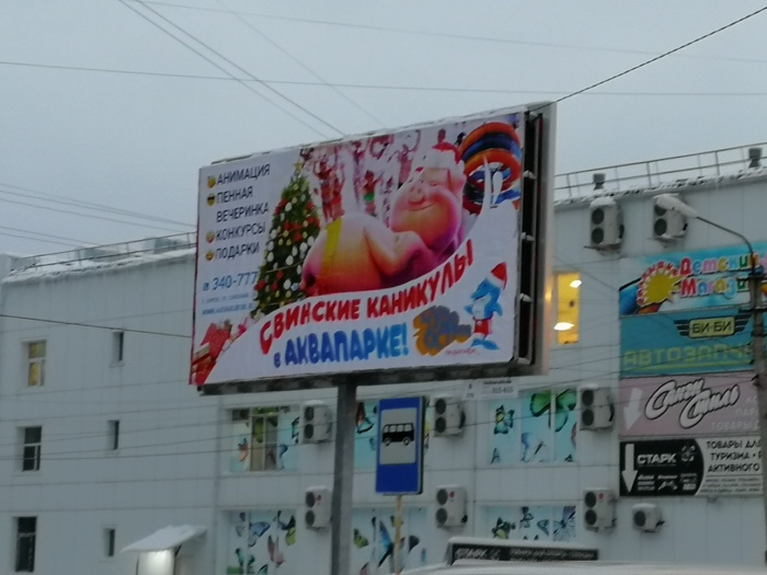 Oink-oink, comrades! - My, Kursk, Pig year, Creative advertising