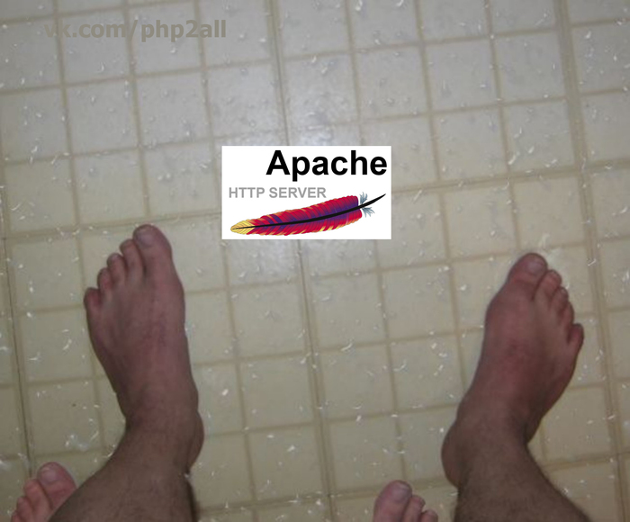 Need to raise the server - My, Server, Apache, Shower, Strange humor