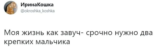 Ей книги в библиотеку привезли? - Twitter, Скриншот, Завуч, Школа, Юмор