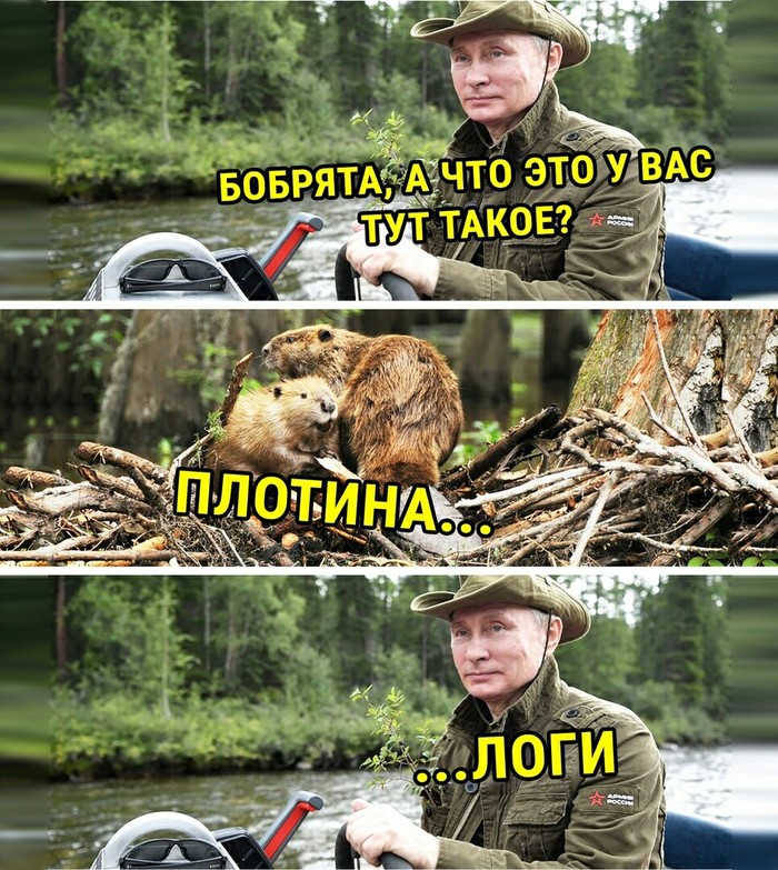 Дед Вован и бобры