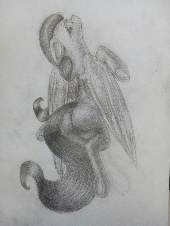 ? My Little Pony, Fluttershy, MLP Edge