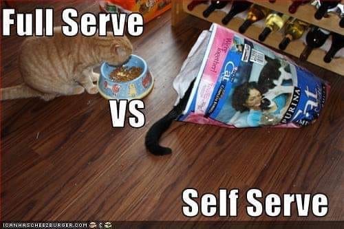 Service and self-service - cat, Service, Self service, Catomafia