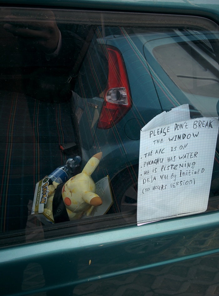 Pikachu is fine. Don't break the window. - My, Pikachu, Animals, Care, Animal protection, Animal defenders, Djvu