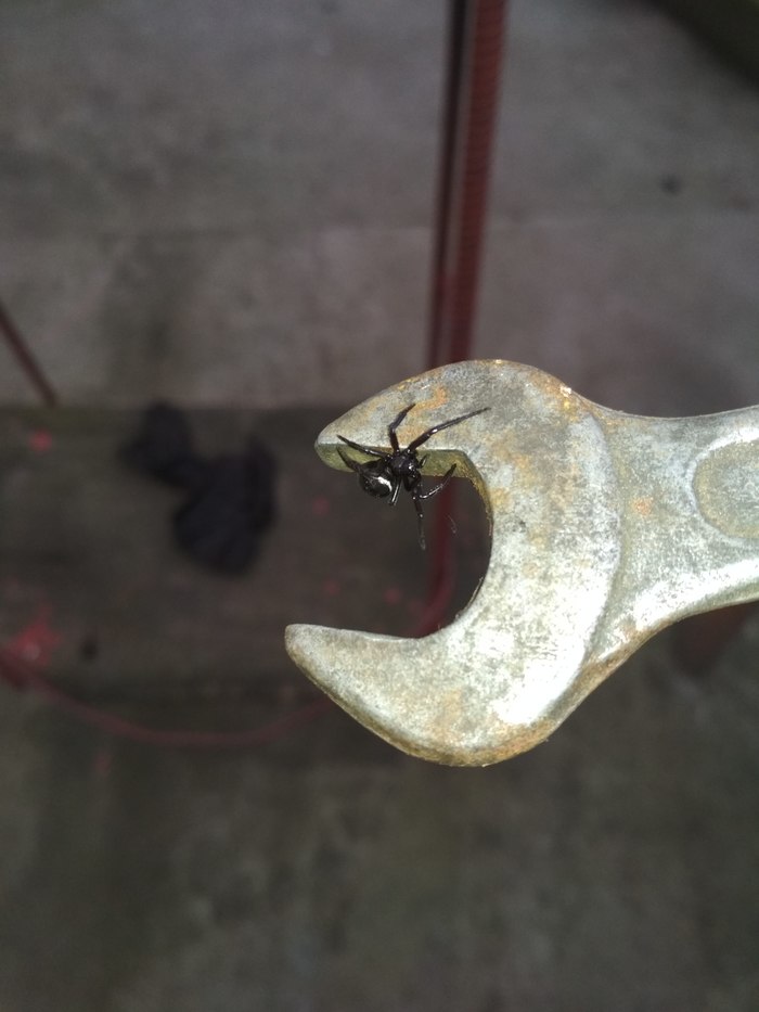 Взываю к знатокам. | Пикабу