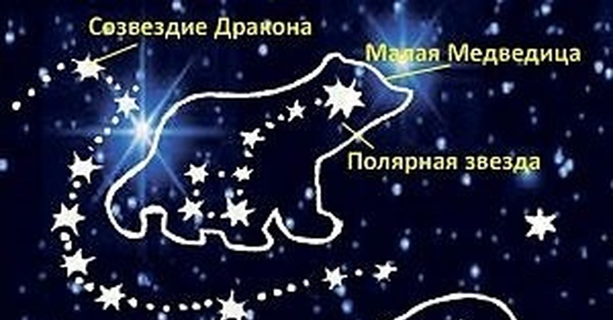 Сказка о медведице и полярной звезде. Малая Медведица Созвездие. Малая Медведица и Полярная звезда. Изображение малой медведицы Созвездие. Полярная звезда в созвездии малой медведицы.