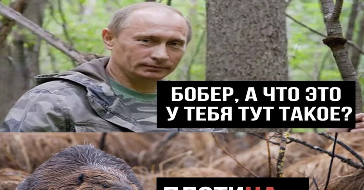 Мем: "Бобр, иди в КиБ и купи 3 игристых мысхаки со скидкой -15%, т.е. 340 руб/бу