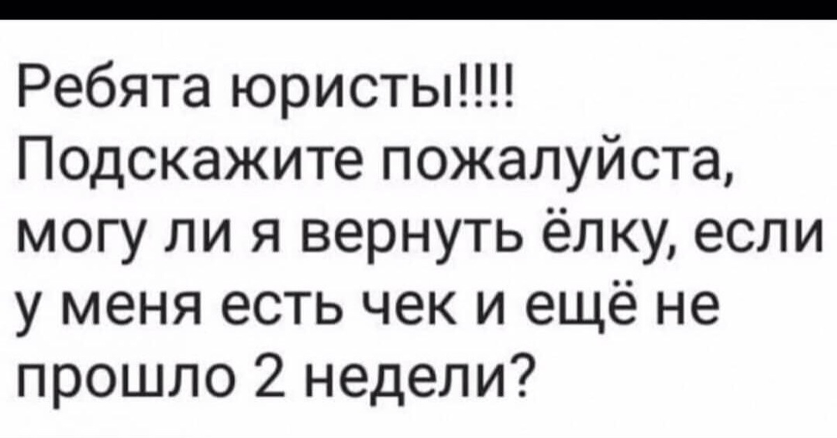 Подскажите пожалуйста какие. Ребята юристы подскажите. Ребята юристы могу ли вернуть елку. Смешные вопросы юристу. Подскажите могу ли я вернуть елку.