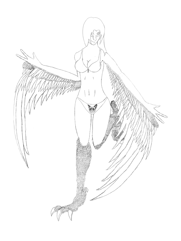 ������ ��� �����)