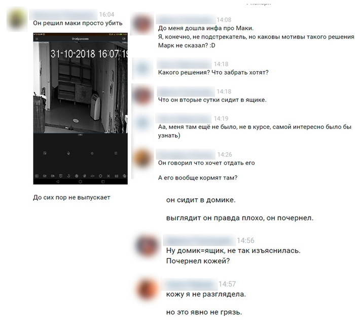 камышовка садовая чем кормить. Смотреть фото камышовка садовая чем кормить. Смотреть картинку камышовка садовая чем кормить. Картинка про камышовка садовая чем кормить. Фото камышовка садовая чем кормить