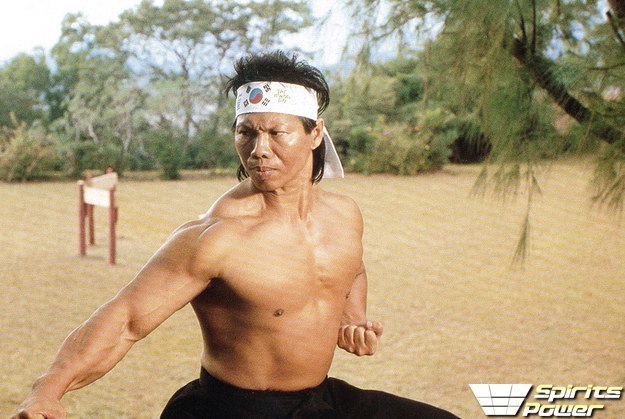 Bolo Yang - Chinese Hercules - Bolo Young, Hong Kong, China, Боевики, Martial arts, Tai chi, Jean-Claude Van Damme, 90th, Video, Longpost